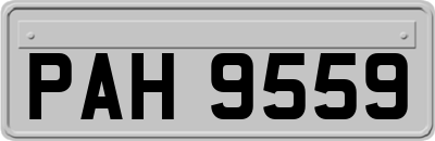 PAH9559