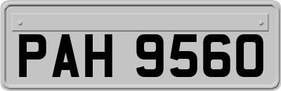 PAH9560