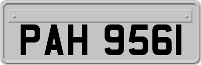 PAH9561