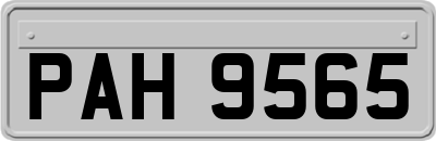 PAH9565