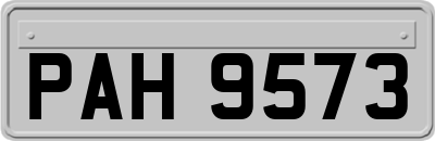 PAH9573