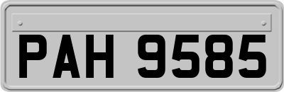 PAH9585