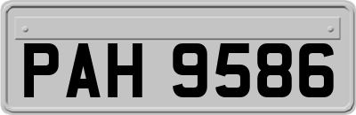 PAH9586