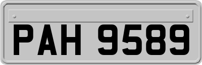 PAH9589