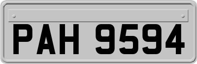 PAH9594