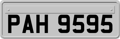 PAH9595