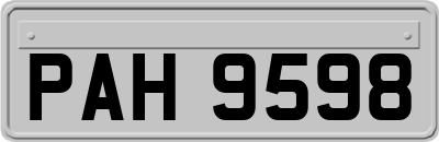 PAH9598