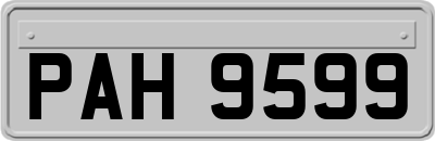 PAH9599
