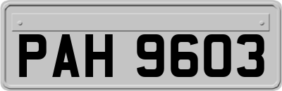 PAH9603