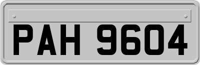 PAH9604