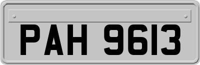 PAH9613