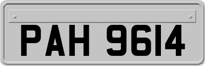 PAH9614