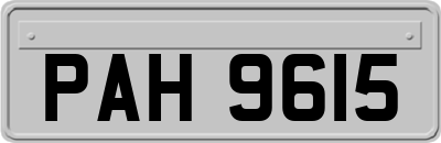 PAH9615