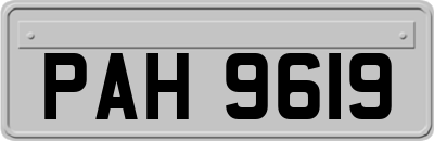 PAH9619
