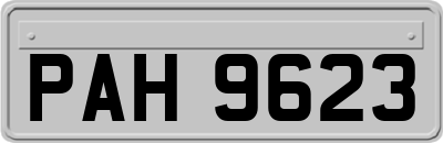 PAH9623