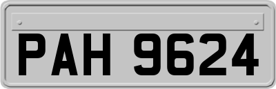 PAH9624