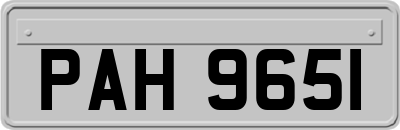 PAH9651