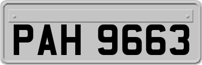 PAH9663