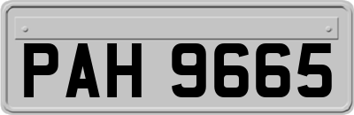 PAH9665