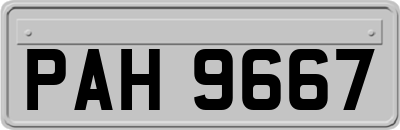 PAH9667