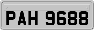 PAH9688