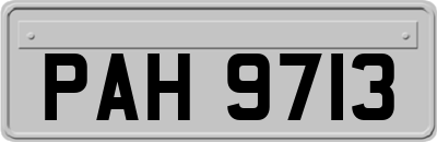 PAH9713