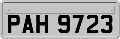 PAH9723