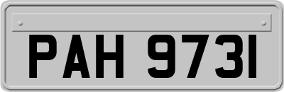 PAH9731
