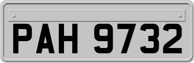 PAH9732