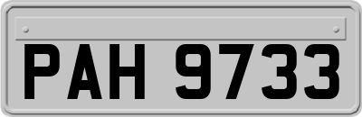 PAH9733