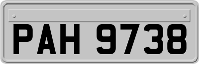 PAH9738