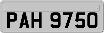 PAH9750