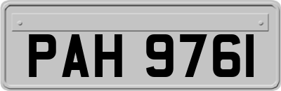 PAH9761