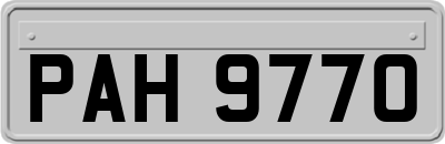 PAH9770