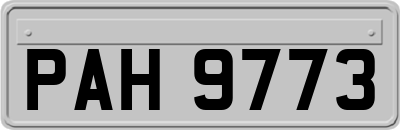 PAH9773