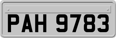 PAH9783