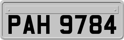 PAH9784