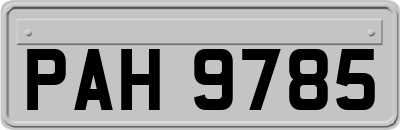 PAH9785
