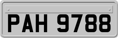 PAH9788