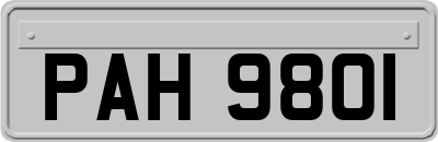 PAH9801