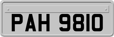 PAH9810