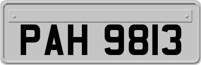 PAH9813