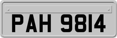 PAH9814