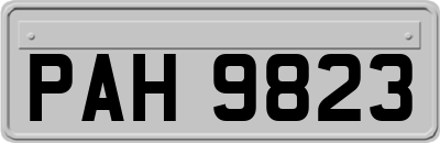 PAH9823