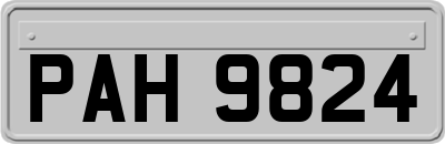 PAH9824