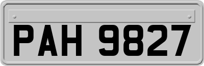 PAH9827
