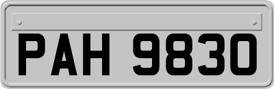 PAH9830