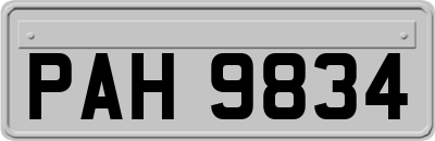 PAH9834