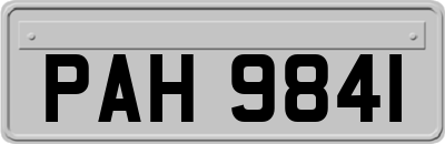 PAH9841