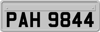 PAH9844